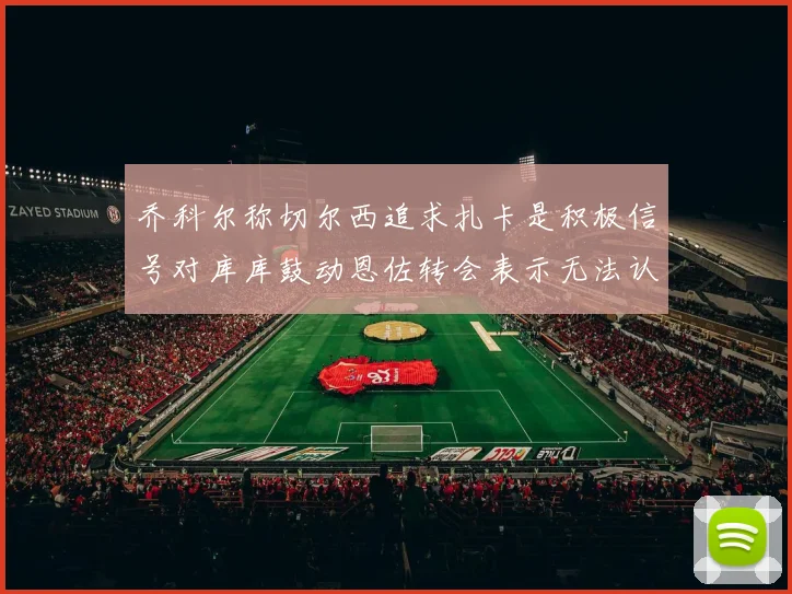 乔科尔称切尔西追求扎卡是积极信号对库库鼓动恩佐转会表示无法认同