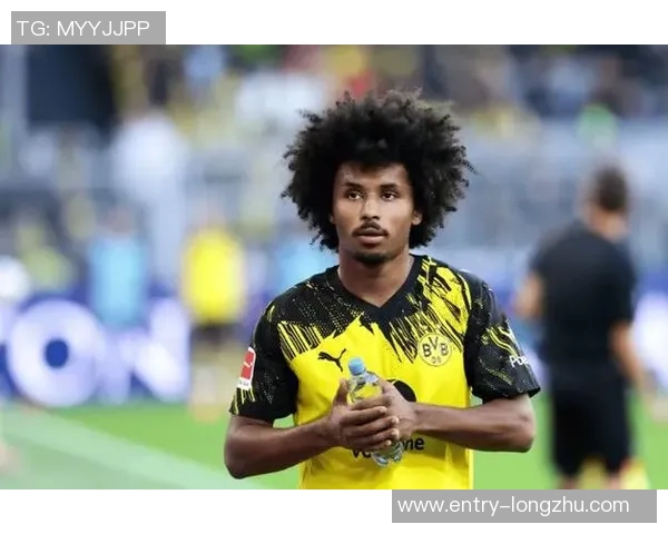 多特蒙德球员身价大幅波动阿德耶米领涨1500万欧元